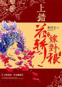 上错花轿嫁对狼