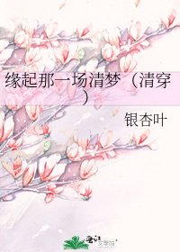 缘起那一场清梦(清穿)