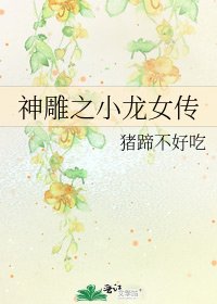 神雕之小龙女传